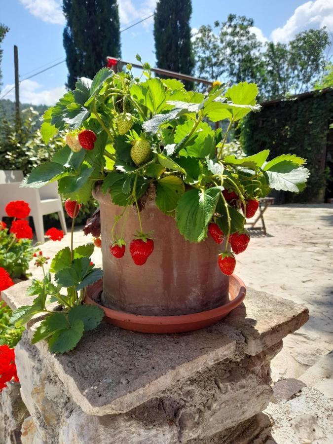 Volver B&B Spoleto Ngoại thất bức ảnh